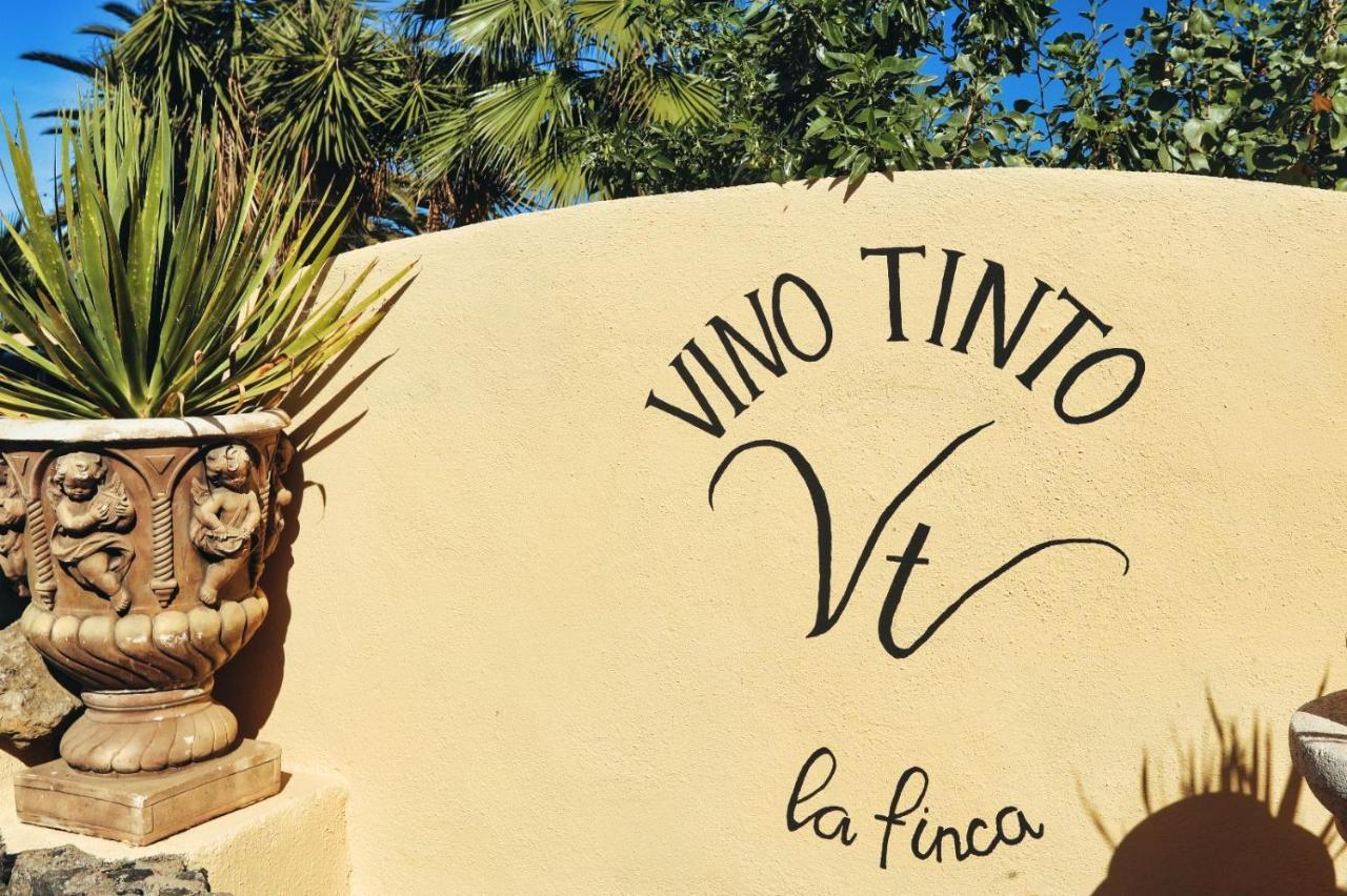 Finca Vino Tinto 1 Icod De Los Vinos Dış mekan fotoğraf