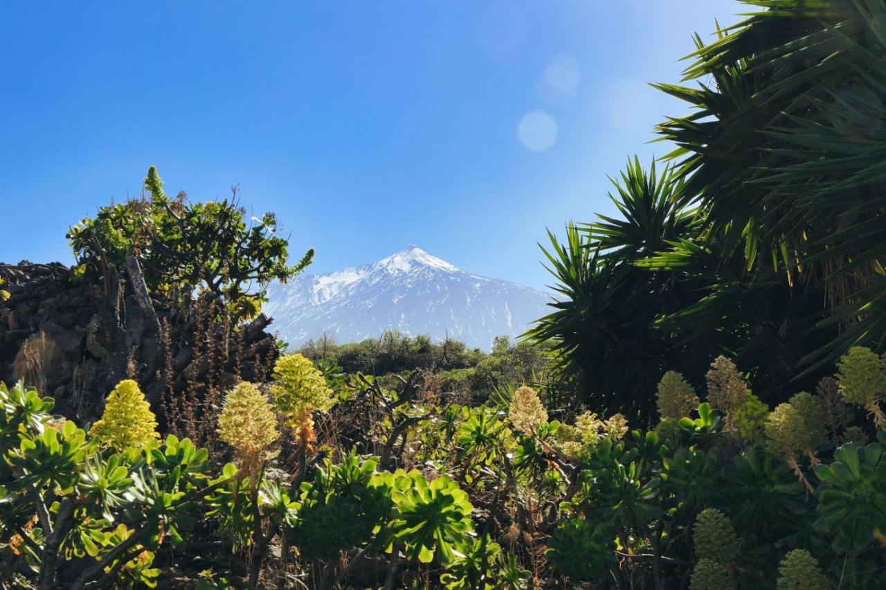 Finca Vino Tinto 1 Icod De Los Vinos Dış mekan fotoğraf